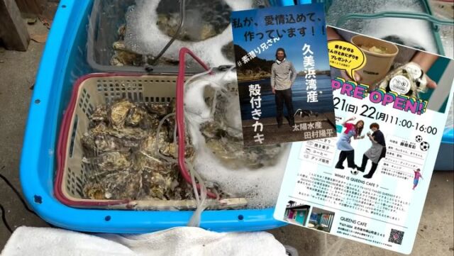 🦪
本日 @queens_cafe_kyotango さんのプレオープン..㊗️
賑やかしに、素潜り兄さんブランドの殻付きカキを、数量限定販売するので、遊びに来てください..🙋‍♂️ #素潜り兄さん 
今シーズン貴重なカキを是非..🤲 #カキ 
「安いのか高いのが分かりませんが、、😊試食しましたが味は間違いなしです！」 
⚽️..1月13日が本オープンです..🙋‍♂️
🏠..空き家ショップも同日よりオープンするので、こちらも是非🤲
KOUMUTENRINOBE®︎
『空き家をゼロに！！』
@koumuten_rinobe_r 
フォローはお気軽に🤲
#空き家 
#工務店リノベ