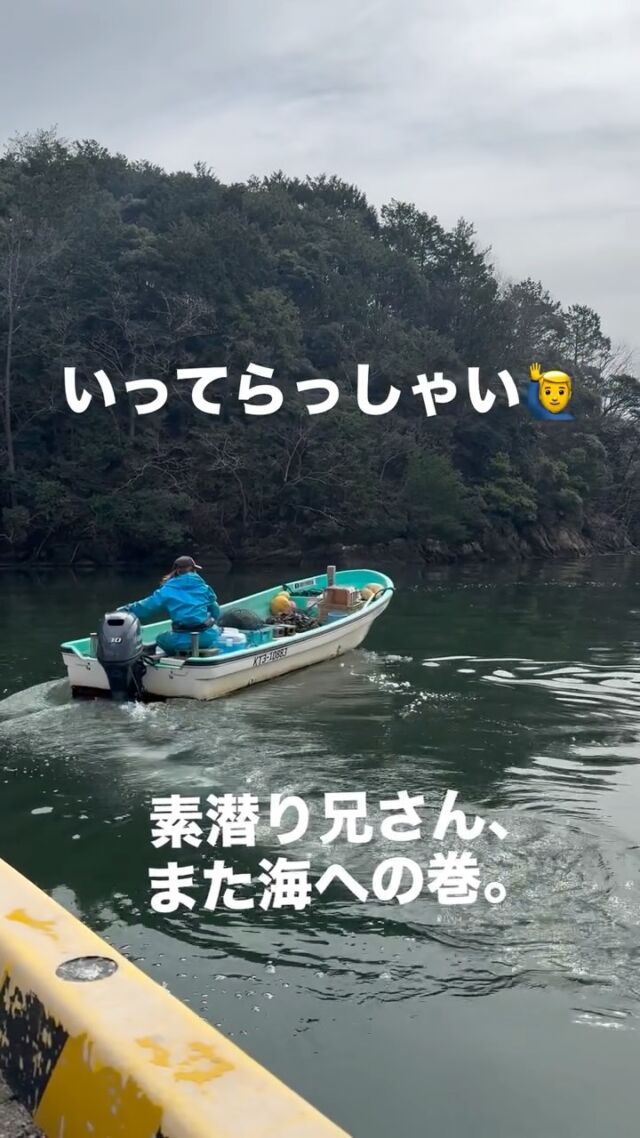 🦪 
【素潜り兄さん、また海への巻。】 
※３連休でシーズン終了です🙏
※売り切れ次第閉店となります🙏
－－－－－－－－ 
久美浜の海へ、 
再び出港。
海から上がった牡蠣は、 
そのまま、 
空き家活用LABOへ。 
「3連休、販売します。」 
－－－－－－－－ 
空き家を、動かす。 
ーー 工務店リノベ®︎ ーー 
#LABOの人シリーズ 
#京丹後 
#素潜り漁 
#牡蠣 
#空き家活用