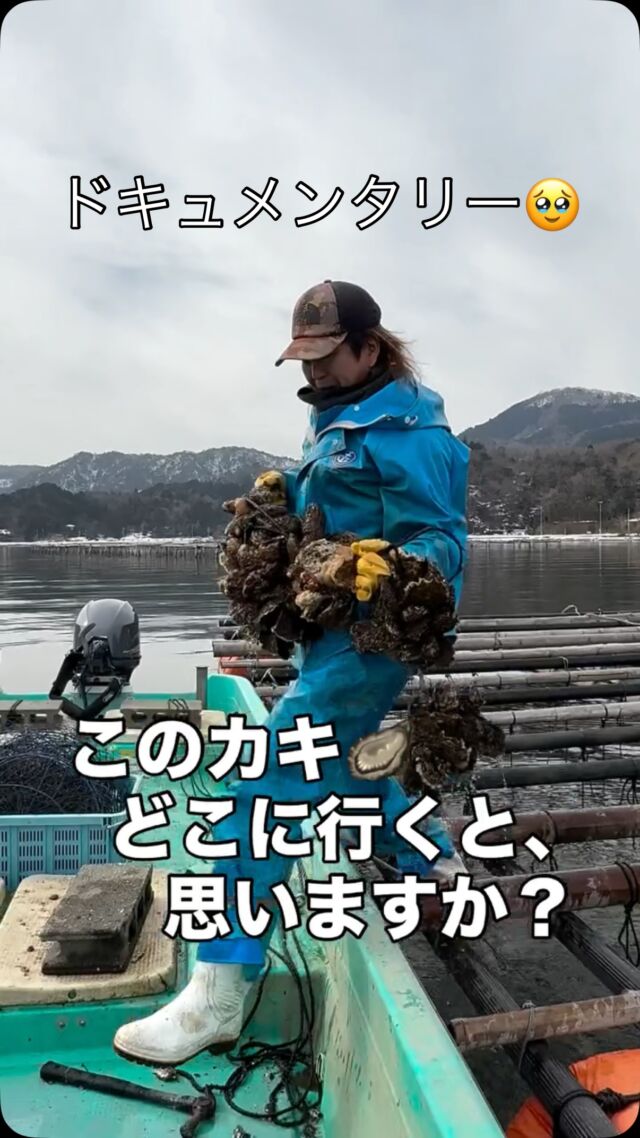 🦪
【素潜り兄さん、ドキュメンタリー】
今日も海へ。
久美浜の海から牡蠣を収穫。
－－－－－－－－
この牡蠣、
どこに行くと思いますか？
実は…
空き家活用LABOへ。
そのまま持ち込んで、
販売しています。
－－－－－－－－
海から、空き家へ。
バラバラだったものが、
少しずつ繋がってきました。
「空き家を、動かす。」
ーー 工務店リノベ®︎ ーー
📩 空き家の相談はDMへ
#LABOの人シリーズ
#京丹後
#素潜り漁
#牡蠣
#空き家活用